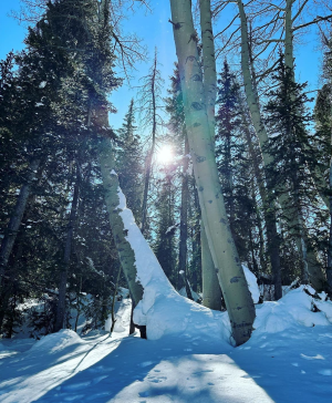 Page Images - Snow on the Grand Mesa by Senior Trial Deputy Roundy 