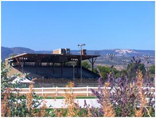 Photograph of Grandstands