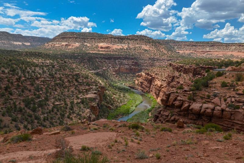 Wide view of Dolores Canyons in Mesa County, CO. Orange rock mixed with greens and a river running through the canyons under a bright blue sky with white clouds. 