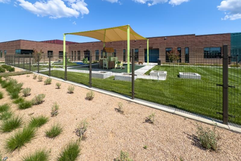 Rocks with new bushes in rows near a green outdoor playground. 