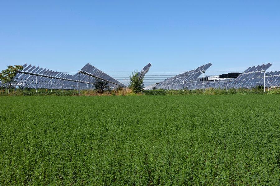 Solar garden on green farm land.