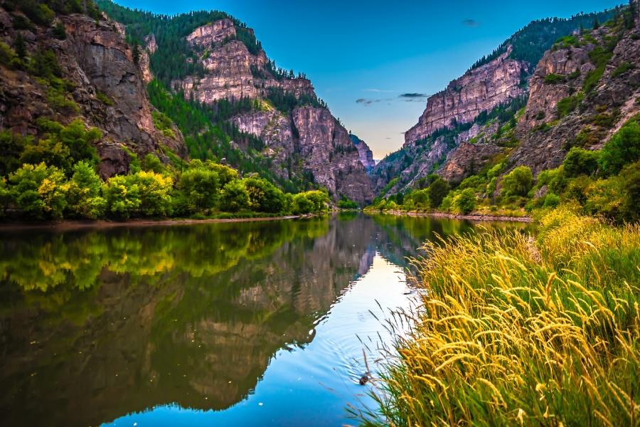 Colorado River surrounded by a canyon and trees with wild grass on the right side. 