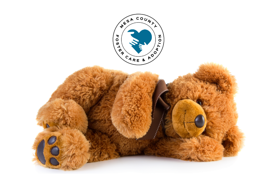 Teddy bear with white background and Mesa County Foster + Adopt logo