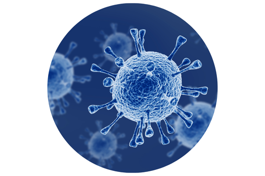 the flu virus at a microscopic level