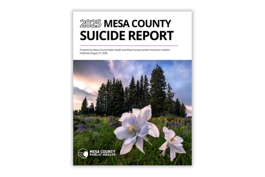 Mesa County Suicide report cover with pine trees and columbines