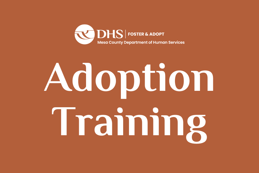 Adoption Training with DHS logo