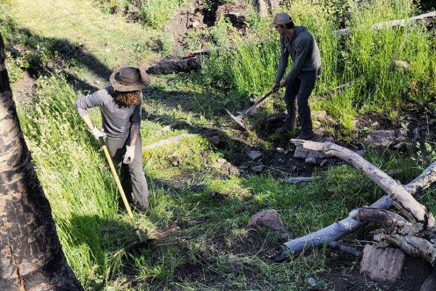 Photo of two people working with hand tools to clear logs and rocks from a trail in the forest.