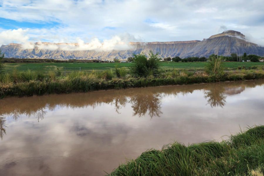 Landscape photo of a canal surrounded by green grass and fields, with the sky and clouds reflected in the water. Mt. Garfield and wispy white clouds over the Book Cliffs are in the background.