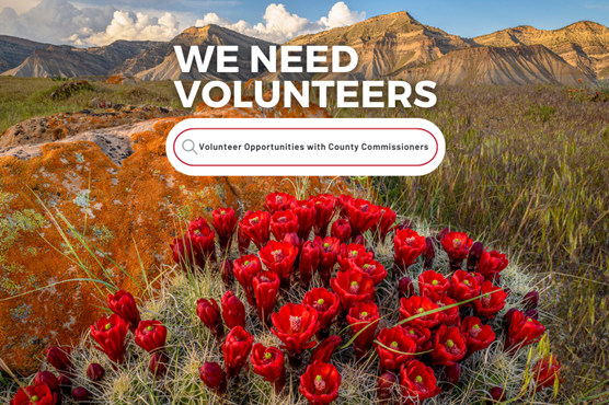 Landscape photo of blooming claret cup cactus with the Book Cliffs in the background and text that says “we need volunteers.” Under the text there’s a graphic of a search box with the words “volunteer opportunities with county commissioners.”